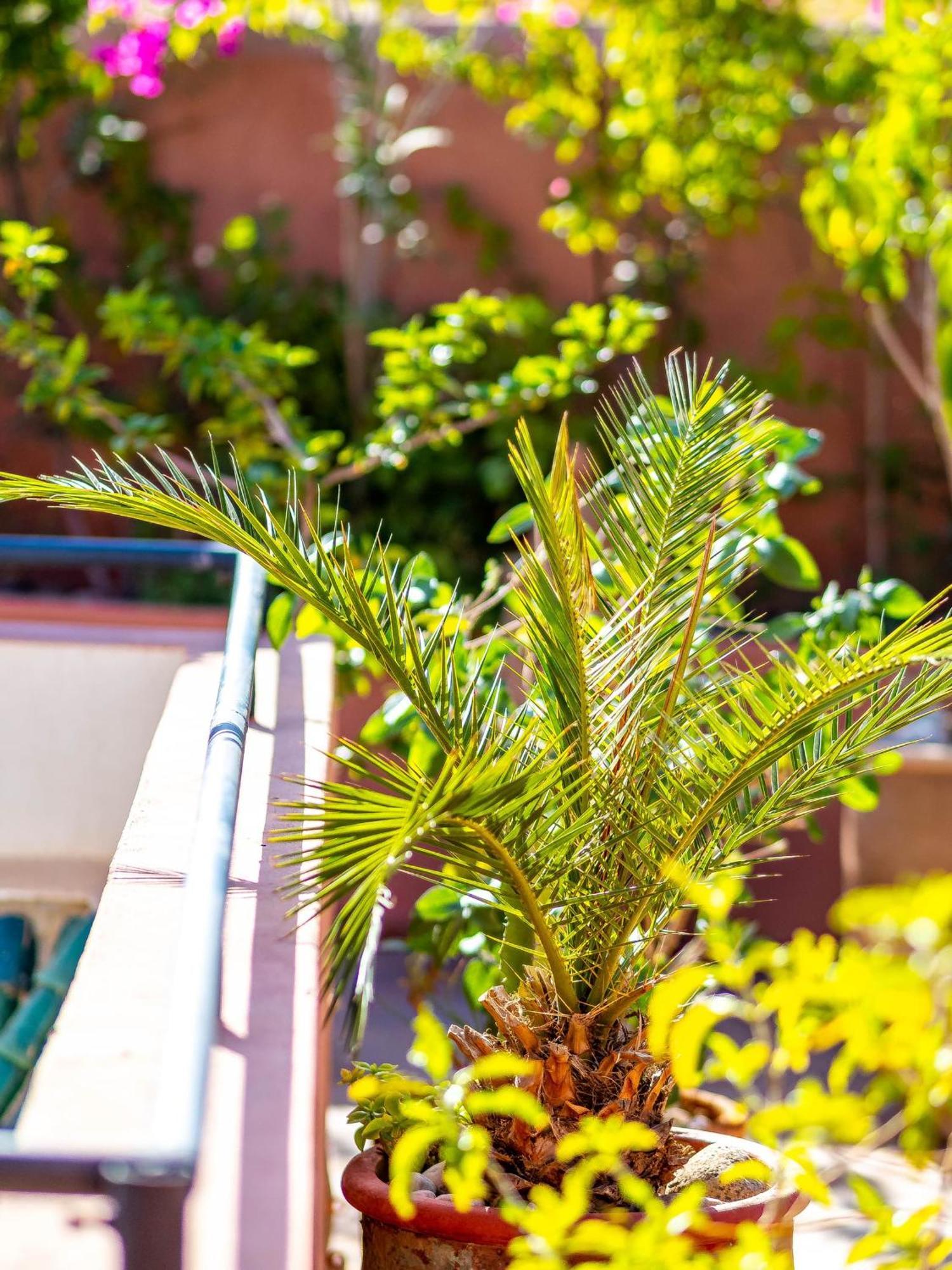 Riad L'Orange Bleue มาร์ราเกช ภายนอก รูปภาพ